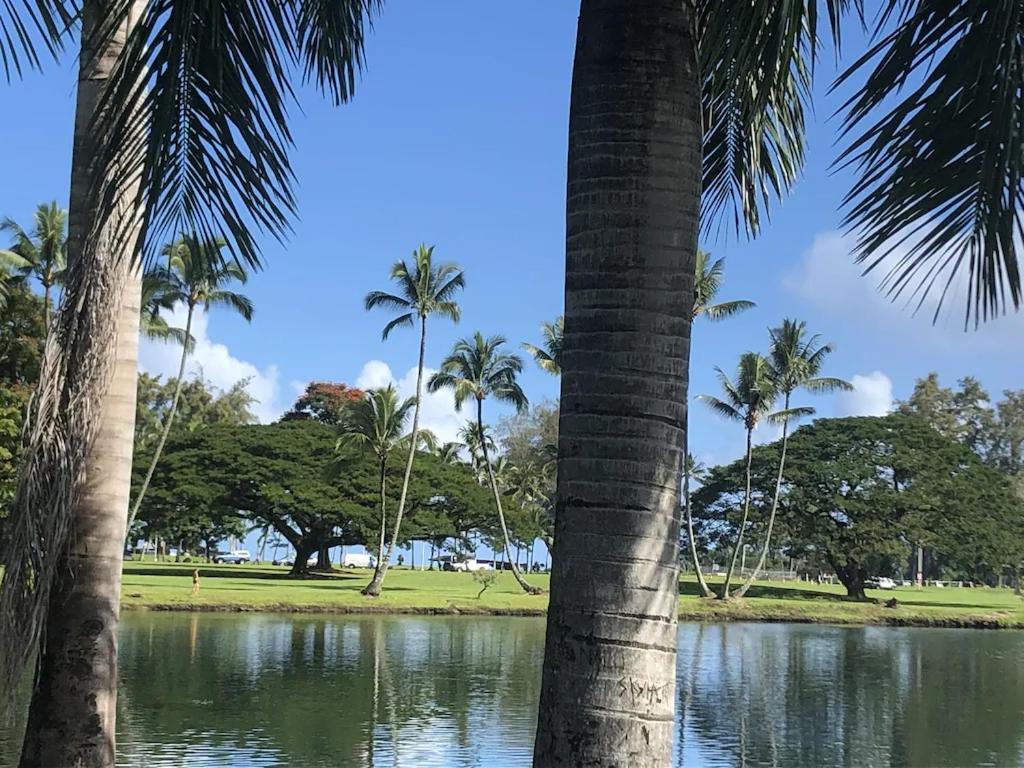 Stunning Views Best Location In Hilo 2Br Modern Condo Екстер'єр фото