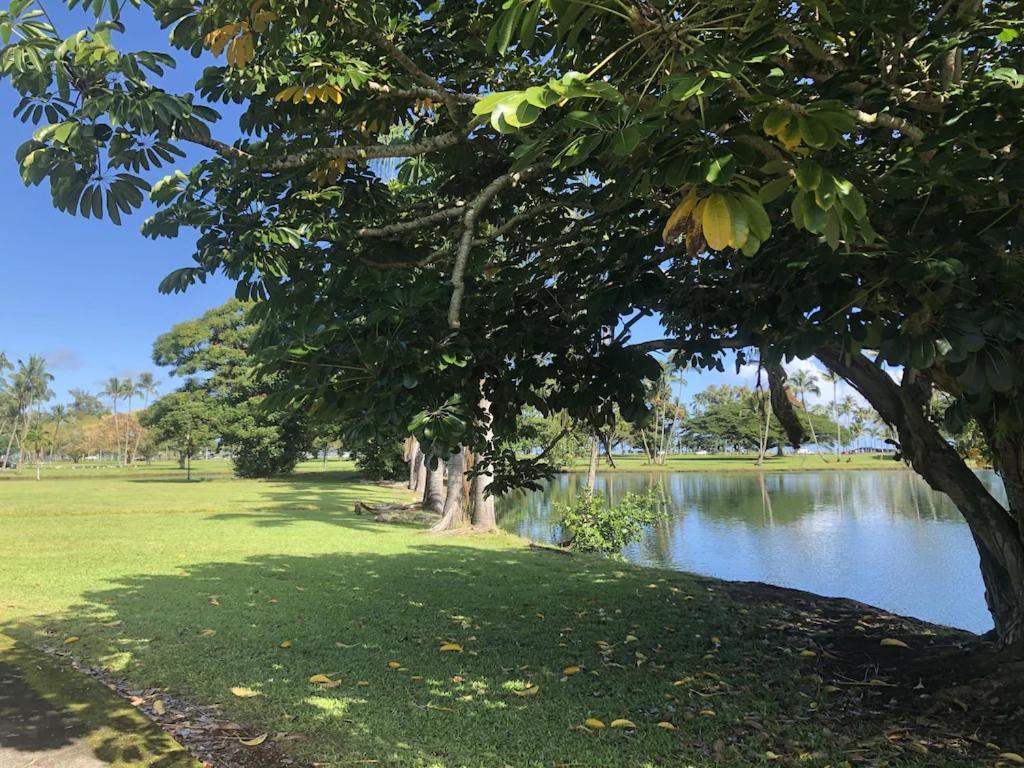 Stunning Views Best Location In Hilo 2Br Modern Condo Екстер'єр фото